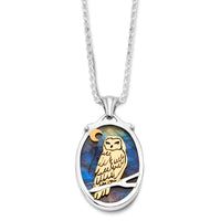 The Owl Talisman