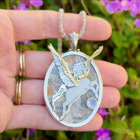 The Cloud Pegasus