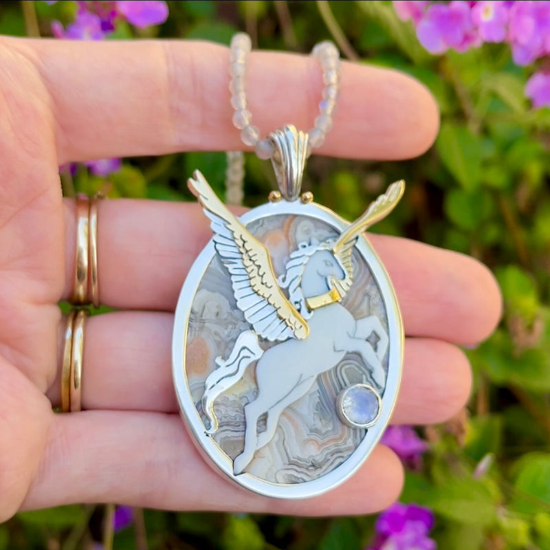 The Cloud Pegasus