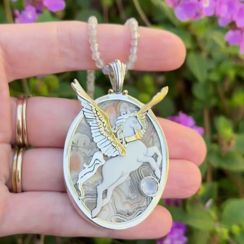 The Cloud Pegasus