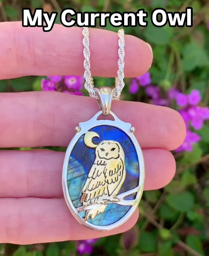 The Owl Talisman