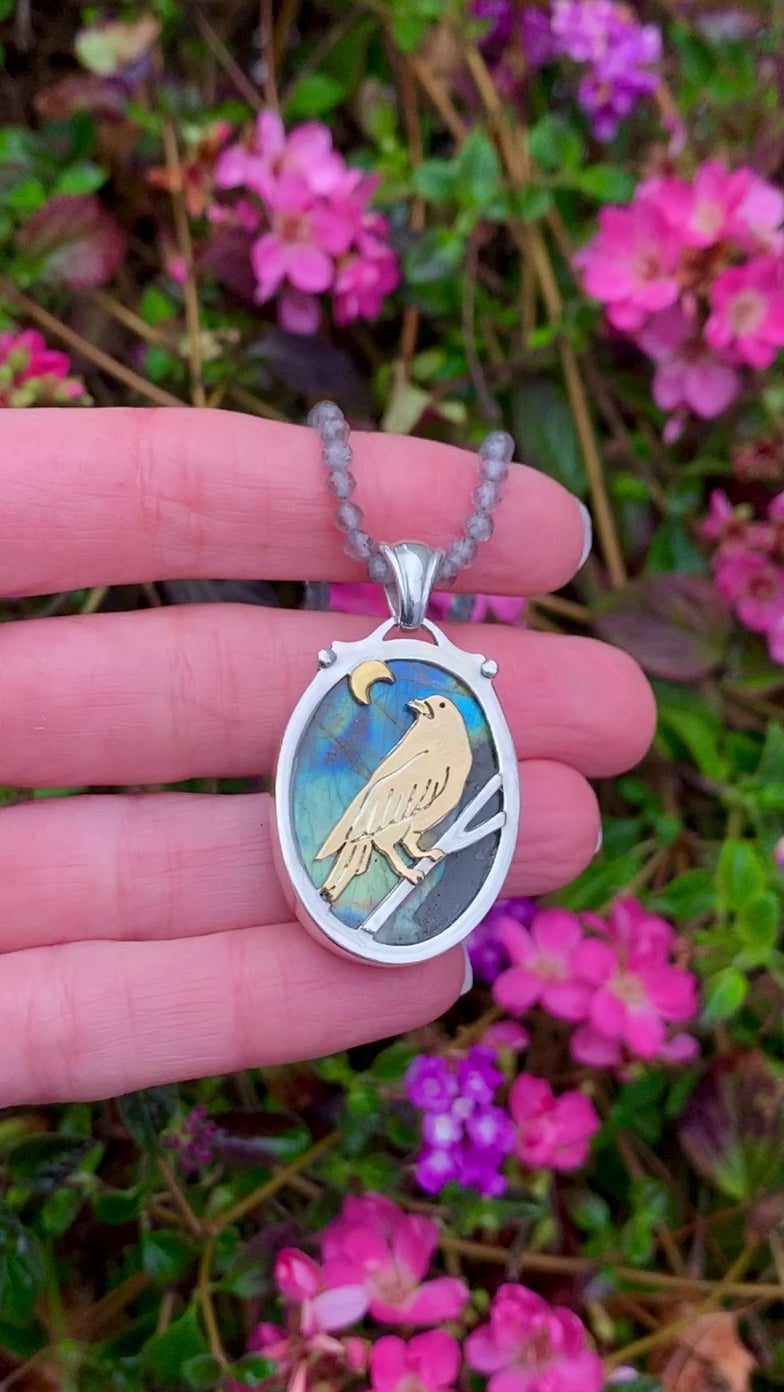 The Raven Talisman