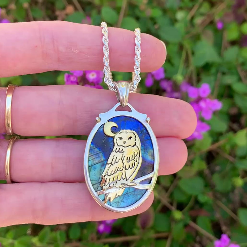 The Owl Talisman